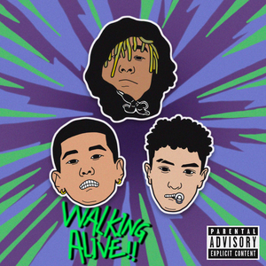 成人羞羞视频网站
