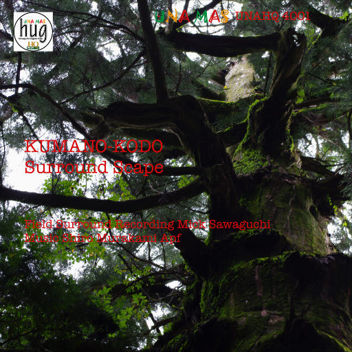 成人羞羞视频网站
